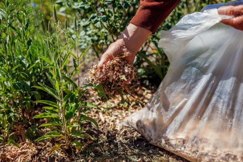Wood Mulching