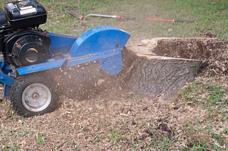 Tree Root Grinding in Aiken, SC