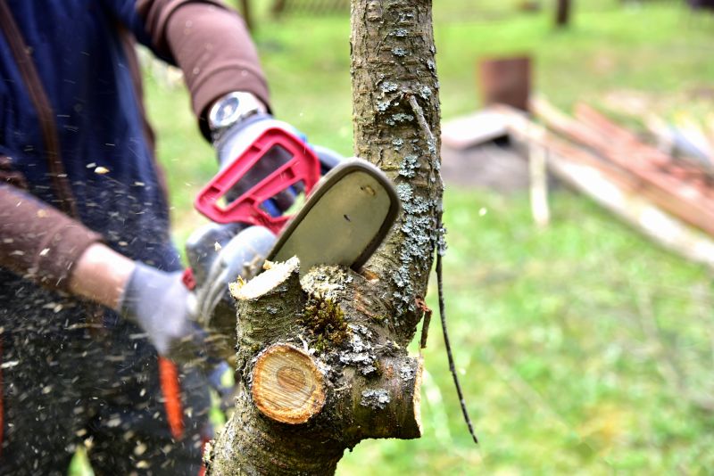 Tree Shaping Service in Doylestown, PA