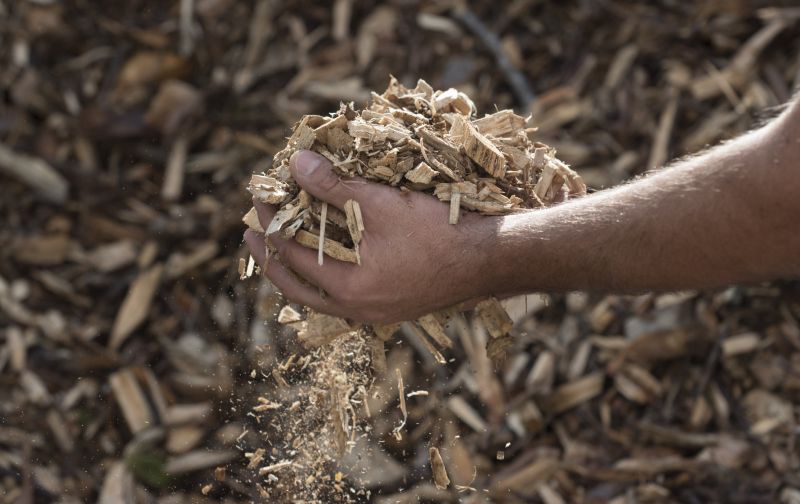 Wood Mulching